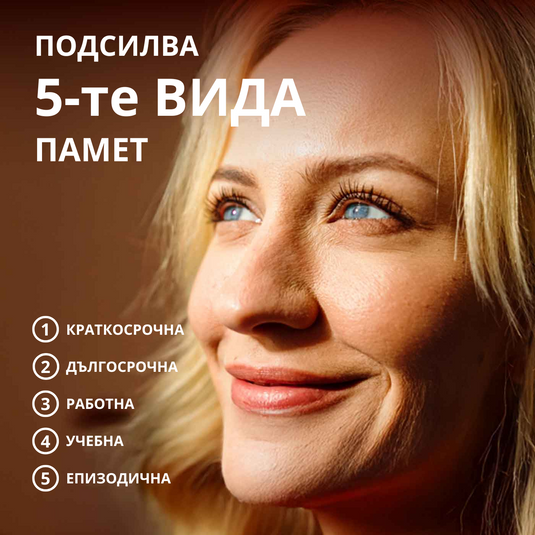 Brain Body Memory, 44,5 g, Vimergy®