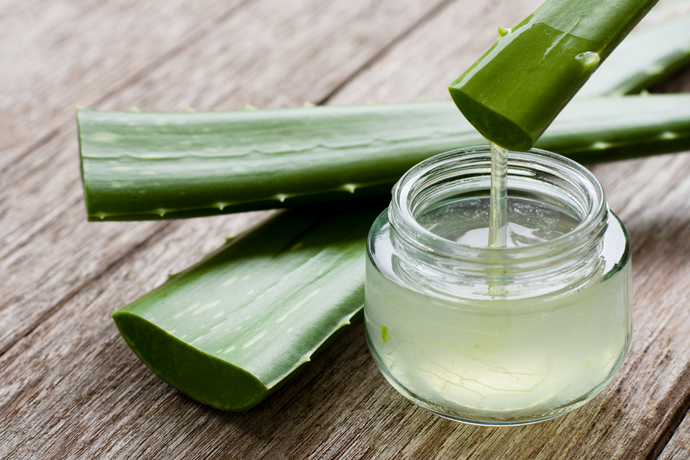 Proprietățile medicinale ale aloe vera