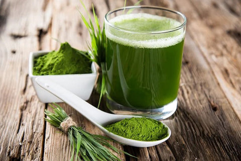 Сок от ечемичена трева на прах – лечебни ползи