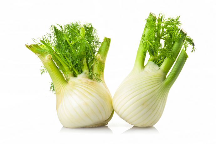 Medicinal properties of fennel