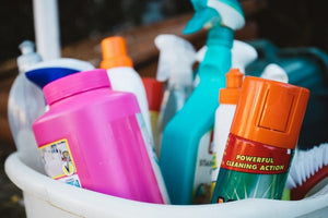 PESTS THAT MAKE US SICK - PRODUCTS OF HOUSEHOLD CHEMICALS