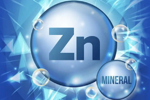 ZINC: A MINERAL OF PRIMARY HEALTH IMPORTANCE
