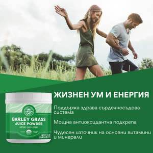 Сок от органична ечемичена трева на прах, 500 гр, Vimergy®