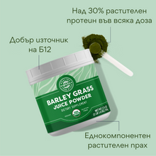 Load image into Gallery viewer, Organic barley grass juice powder, 500 g, Vimergy®
