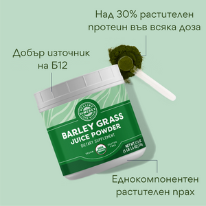 Organic barley grass juice powder, 500 g, Vimergy®