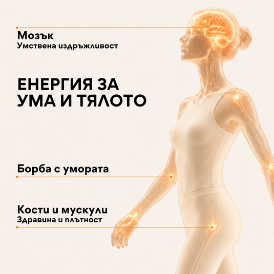 Brain Body Flexagility, 120 g, Vimergy®