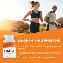 Load image into Gallery viewer, Organic Chaga, 90 capsules, Vimergy®
