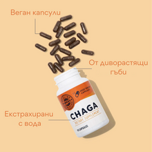 Load image into Gallery viewer, Organic Chaga, 90 capsules, Vimergy®
