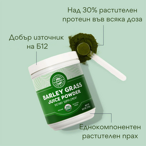 Сок от органична ечемичена трева на прах, 250 гр, Vimergy®