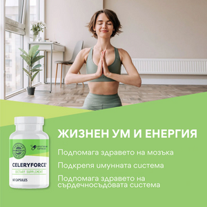 Celeryforce®, 60 capsules