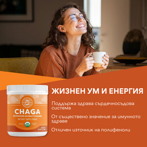 Organic Chaga powder, 250 g, Vimergy®