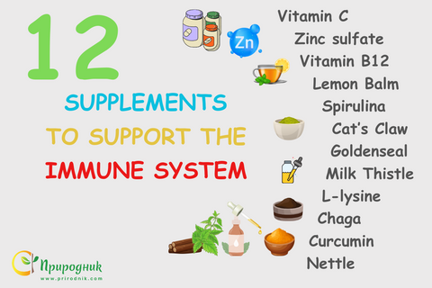 12 SUPPLEMENTS TO SUPPORT THE IMMUNE SYSTEM