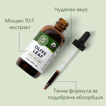 Зареди изображение във визуализатора на галерията – Органичен маслинов лист, безалкохолен екстракт 10:1, 115 мл, Vimergy®
